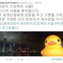 오리한마리 이미지