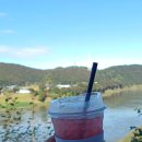 더 벙커 | 파주 무인카페 애견동반카페 뷰맛집 카페더벙커 내돈내산 후기