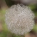 밀양댐생태공원 이미지