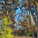 대창들공원 이미지