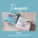 피앤지소프트 | 팸퍼스 신제품 엔젤브리즈 소프트팬티 사용후기
