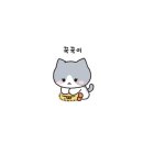 와부읍 도곡리 568-1 ~568-4 | 태민 꿍댕이팝업 [LOVE BLOSSOM] 4월 서울현대백화점 팝업스토어 방문 후기