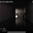 네파부
