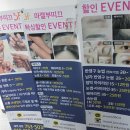 마젤헤어라인