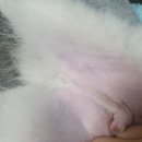 가양쿨펫동물병원 이미지