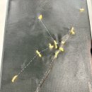 탁구 오후B | [영주 여행] 아름다운 풍경에 매료되는 소백산생태탐방원 이용 후기 (영주 여행 完)