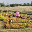 에코중앙로R 이미지