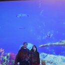 탑정보 이미지