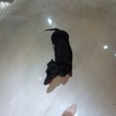 헤어샵깔롱