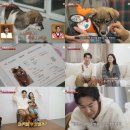 전진농장 이미지