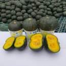 장사농장 이미지