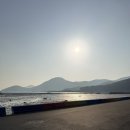 무지개언덕 펜션 | 거제 오션뷰 대형 카페 가든이 있는 '씨야드' 내돈내산 후기