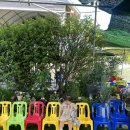 보리수농장 | 일산 블루베리 농장 체험 후기｜꽃우물 블루베리 농장 아이랑 가기 좋은 곳 (가격 포함)