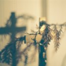 예원한의원 이미지