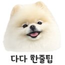 내기마을세천2 | 헤이리마을맛집 파주레스토랑 이그조틱 파주헤이리점 후기 | 애견동반 헤이리레스토랑