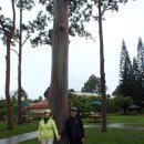 RAINBOW CASTLE 이미지