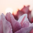 부동산재테크Ⅰ 이미지