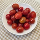 비타민농산물도소매 | [프룻스퍼스토어] 스테비아방울토마토 건달마토 농산물 우수관리 인증 받은 당일수확 산지직송 맛있게 먹기