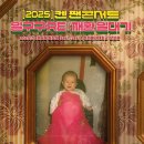 켄 티브이데일리