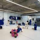 송도유도체육관 이미지