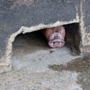 이종길농장 이미지