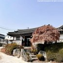 바윗재 백숙 이미지