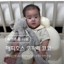 해피코코 - 동구 산내로 1338-1 | 네덜란드 프리미엄 국민 애착인형 해피호스 코끼리 코코 후기