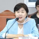 서영교 카카오 검색결과