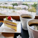 파스쿠찌(강서점) 이미지