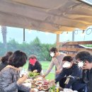 제주놀3320 | 서귀포펜션 놀거리 먹을거리 가득한 제주놀3320 최고