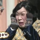 캠프오후4시 이미지