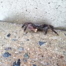 찬스당구클럽 이미지