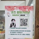 냥이시대 | 일산 고양이 카페 냥이시대 | 이색 힐링 데이트 장소로 추천