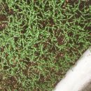 명지농장1 이미지