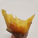 롯데슈퍼순천해룡