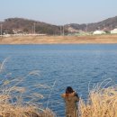 늘도민박(펜션) 이미지