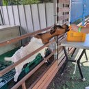 정구농장 이미지