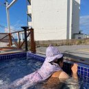 애월토리니 이미지