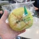 대세포차 이미지