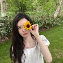 신시아
