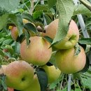 (주)더좋은날 이미지