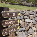 임자 조희룡 유배지 이미지