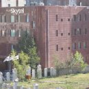 스카이텔 이미지