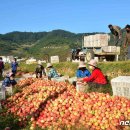 용전농장 이미지