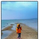 목섬민박 이미지