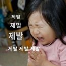 컴인워시 송도점 | 예약 필수인 컴인워시 신도림점 세차 내돈내산 후기 (디테일링 B코스 추천)