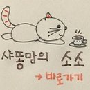 선메딕 네이버블로그