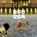 삼육사로25 이미지