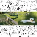 댕그라운드 | 청주 애견카페 댕그라운드 나들이!