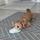 희락식당 이미지